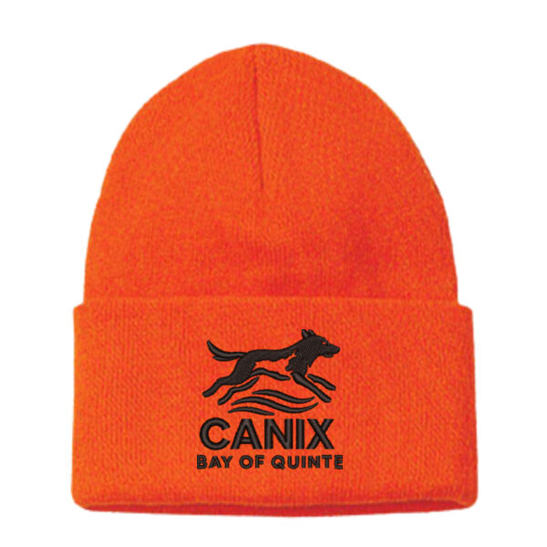 Embroidered Knit Cuff Toque Thumbnail